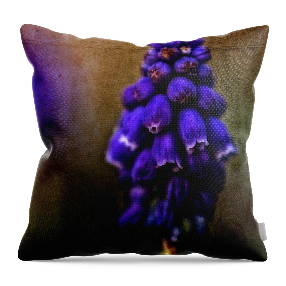 Hyacinth Throw Pillow featuring the photograph Grape Hyacinth - Textured by Mark Alder