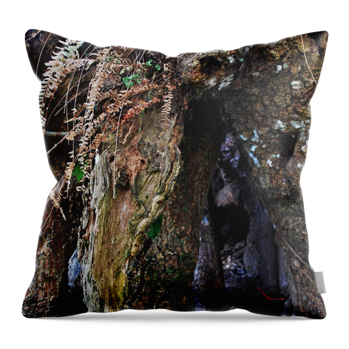 Road Throw Pillow featuring the photograph Gras by Rebeca Segura