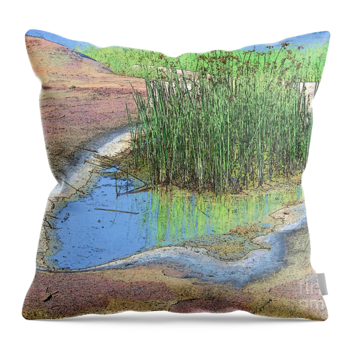 Grass Throw Pillow featuring the photograph Grass Growing on Rocks by Teresa Zieba