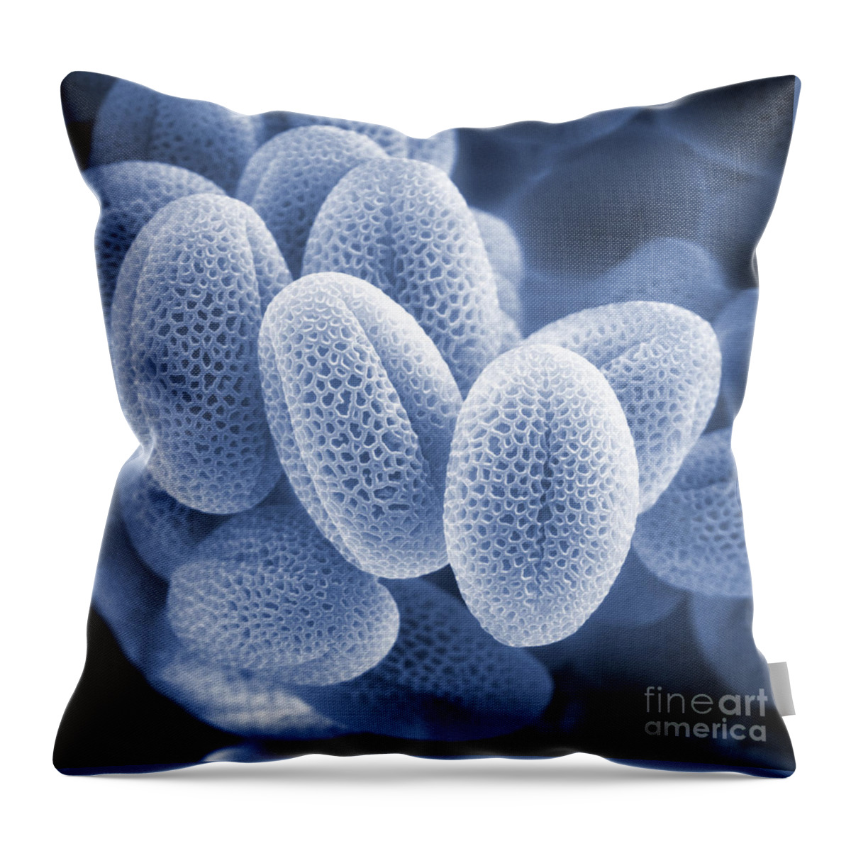 Cell Throw Pillow featuring the photograph Grass Pollen Sem by David M. Phillips