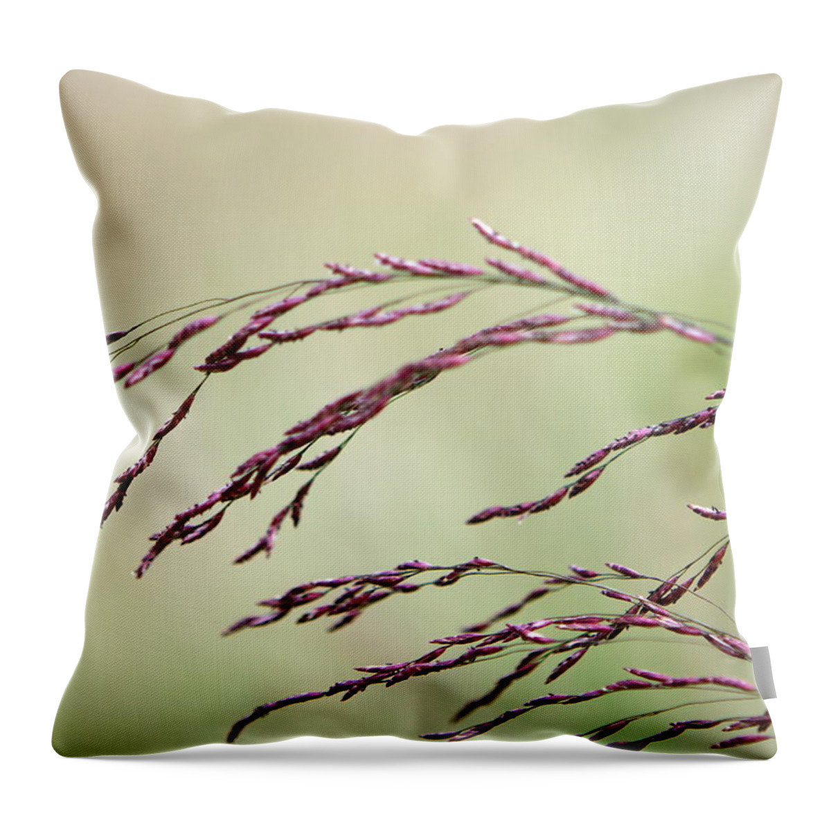 Grass Throw Pillow featuring the photograph Grass Seed by Leeon Photo