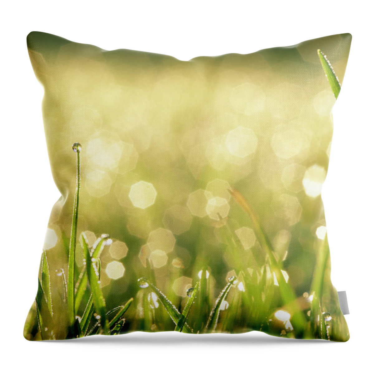 Grass Throw Pillow featuring the photograph Grass With Water Drops by Peter Cade