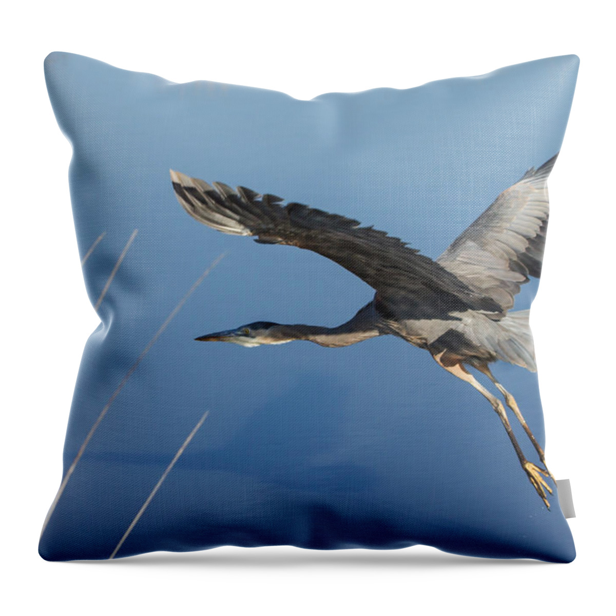 Great Blue Heron Throw Pillow featuring the photograph Great Blue Heron and His Shadow by Angie Vogel