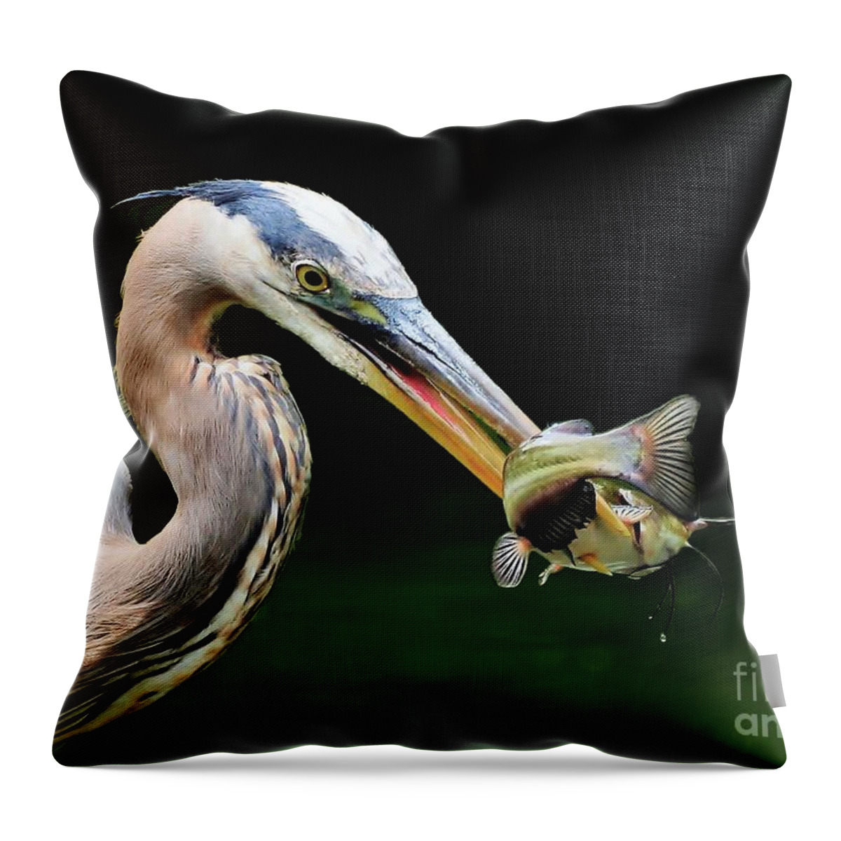 Heron Throw Pillow featuring the photograph Great Blue Heron And The Catfish by Kathy Baccari