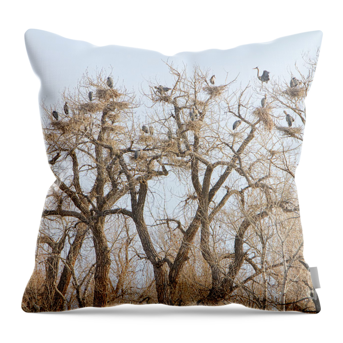 Animals Throw Pillow featuring the photograph Great Blue Heron Colony by James BO Insogna