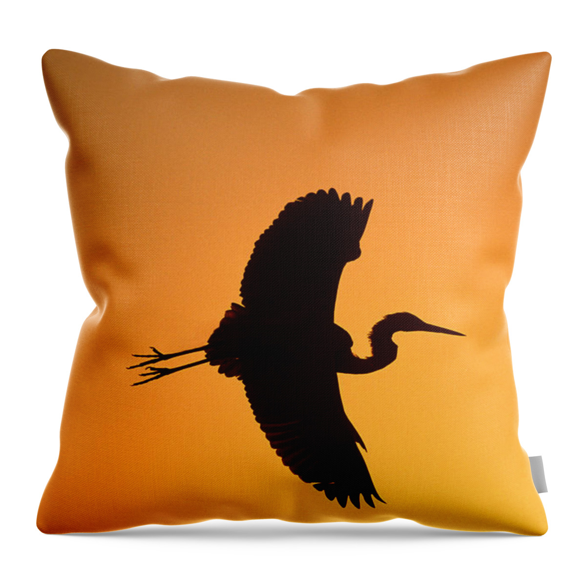 Feb0514 Throw Pillow featuring the photograph Great Blue Heron Flying At Sunset by Tom Vezo