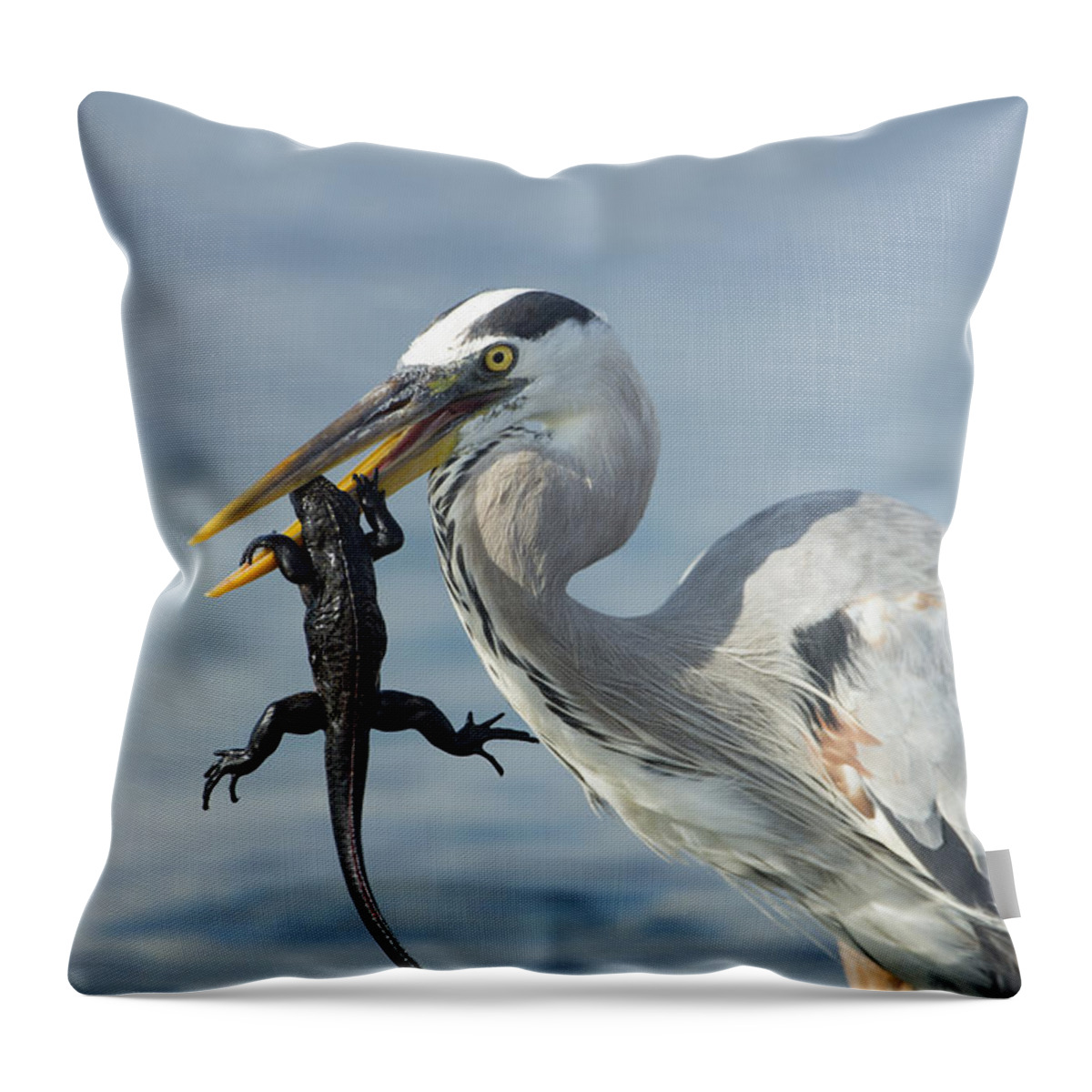 534100 Throw Pillow featuring the photograph Great Blue Heron Hunting Baby Marine by Tui De Roy
