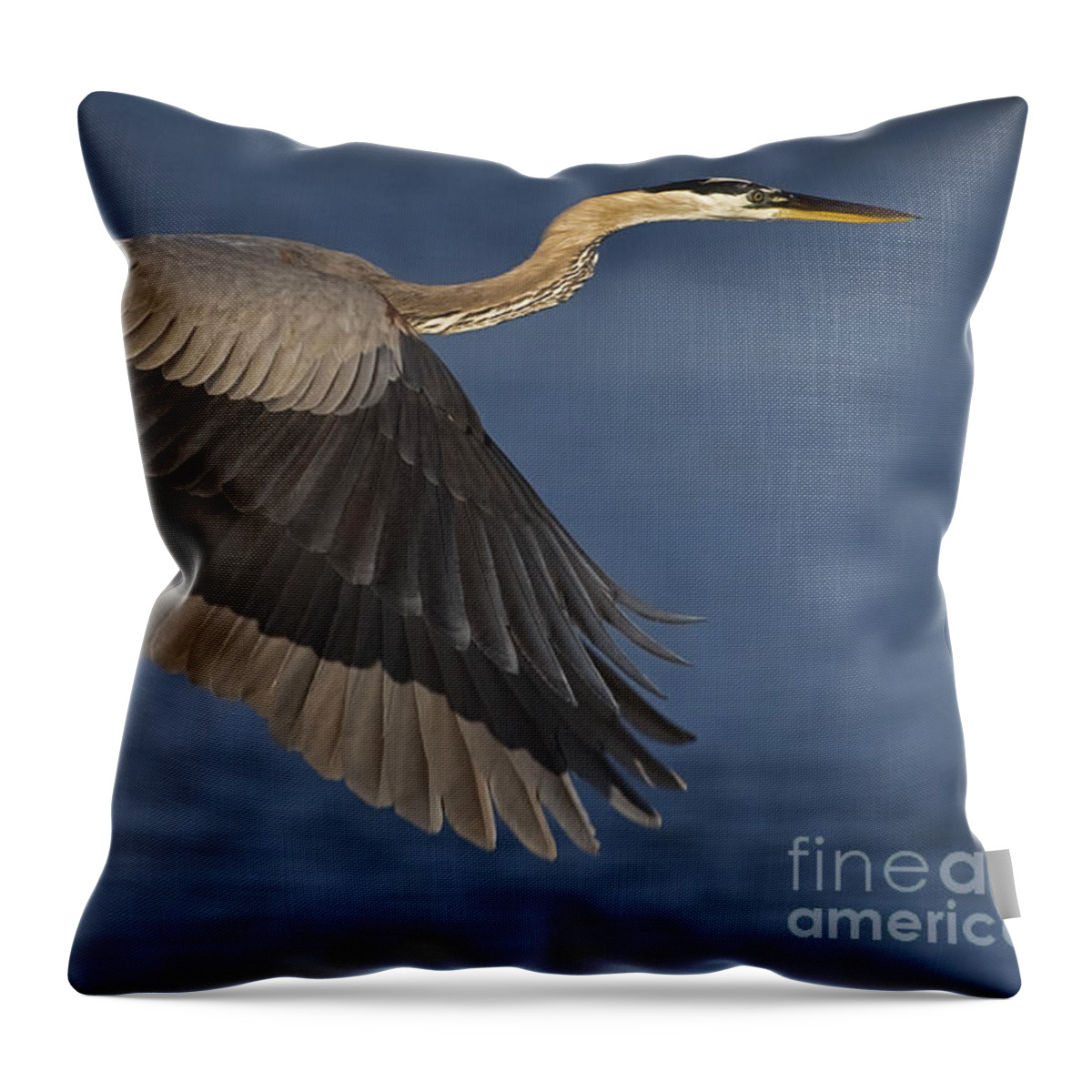 Ardea Herodias Throw Pillow featuring the photograph Great Blue Heron by J L Woody Wooden