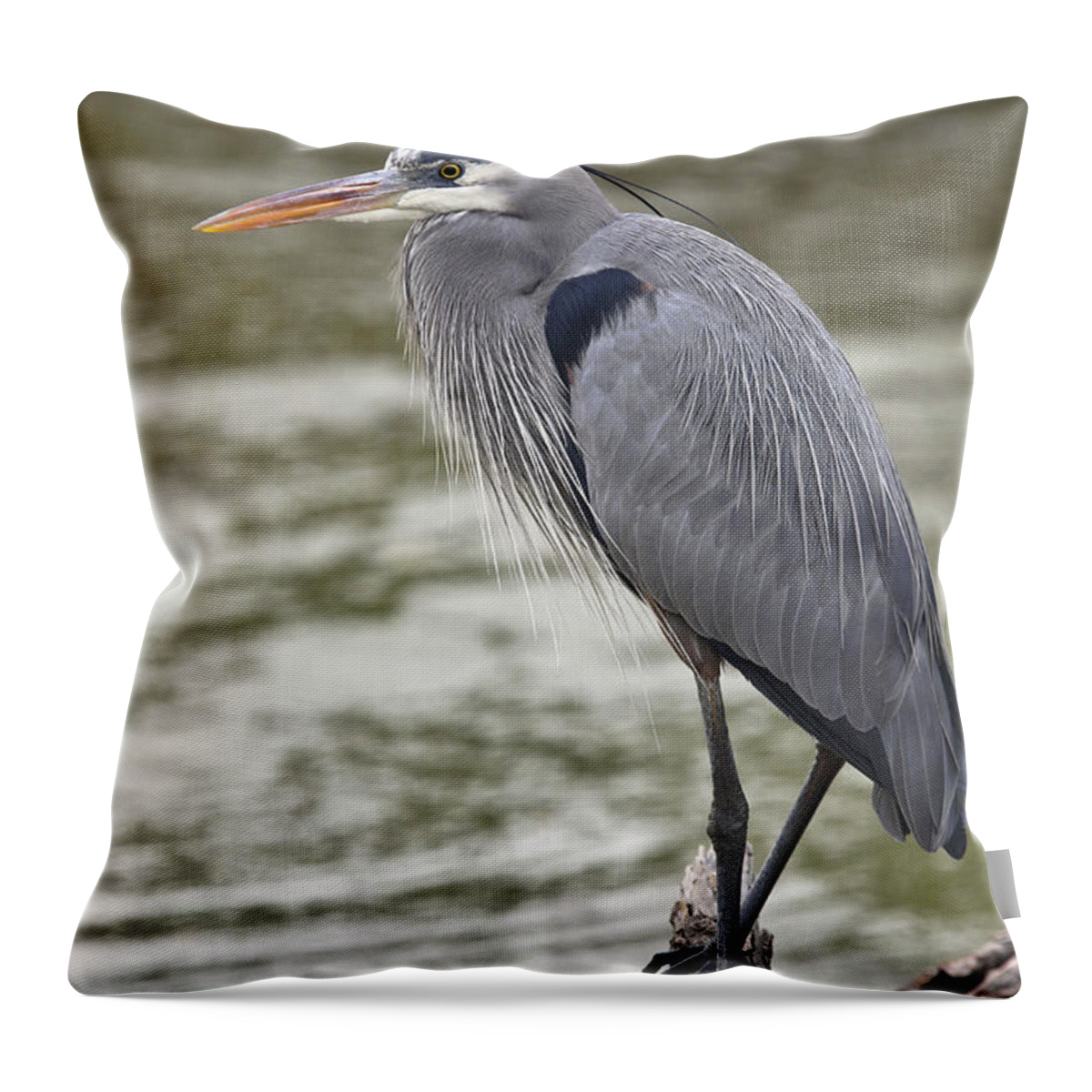 Ardea Herodias Throw Pillow featuring the photograph Great Blue Heron by Paul Riedinger