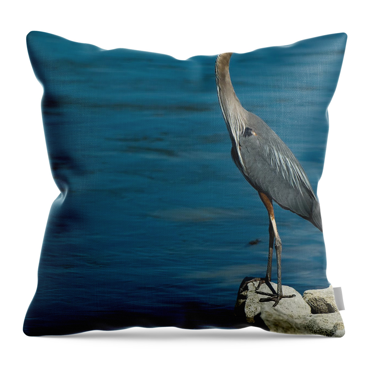 Great Blue Heron Throw Pillow featuring the photograph Great Blue Heron by Sebastian Musial