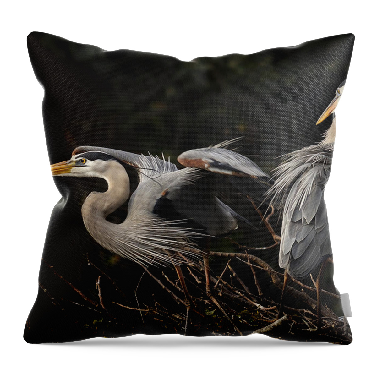 Great Blue Heron Throw Pillow featuring the photograph Great Blue Herons by Carol Eade