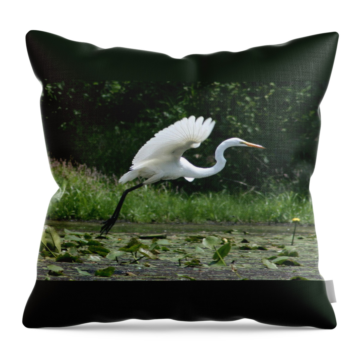 Egret Throw Pillow featuring the photograph Great Egret Elegance  by Neal Eslinger