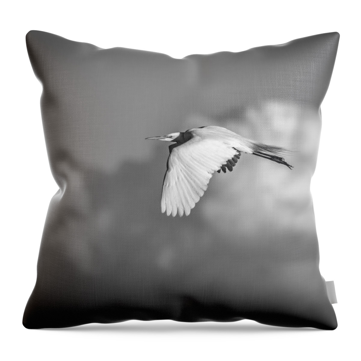 Great Egret Throw Pillow featuring the photograph Great Egret In Flight Black and White by Thomas Young