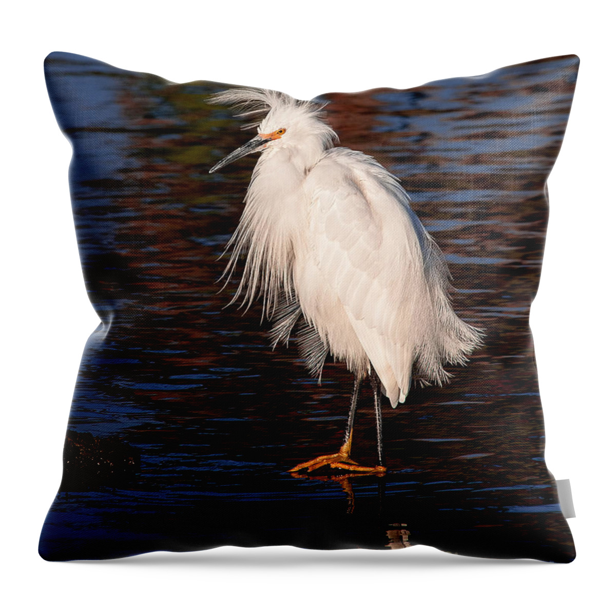 Great Egret Bird Photographs Throw Pillow featuring the photograph Great Egret Walking On Water by Jerry Cowart