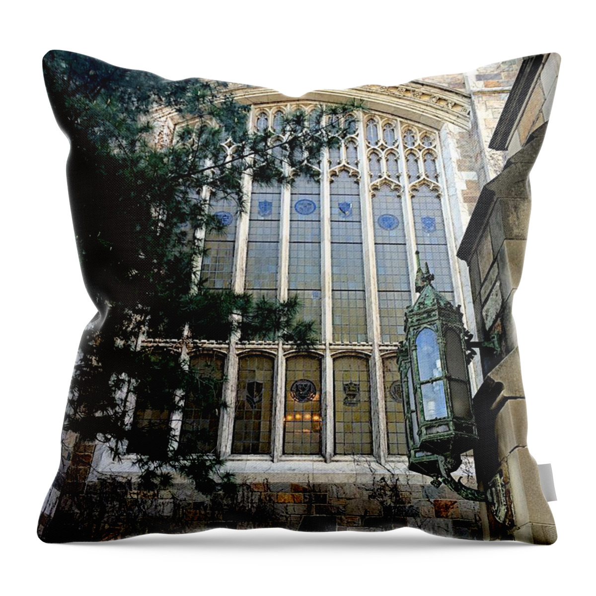 Architecture Throw Pillow featuring the photograph Great Glass by Joseph Yarbrough