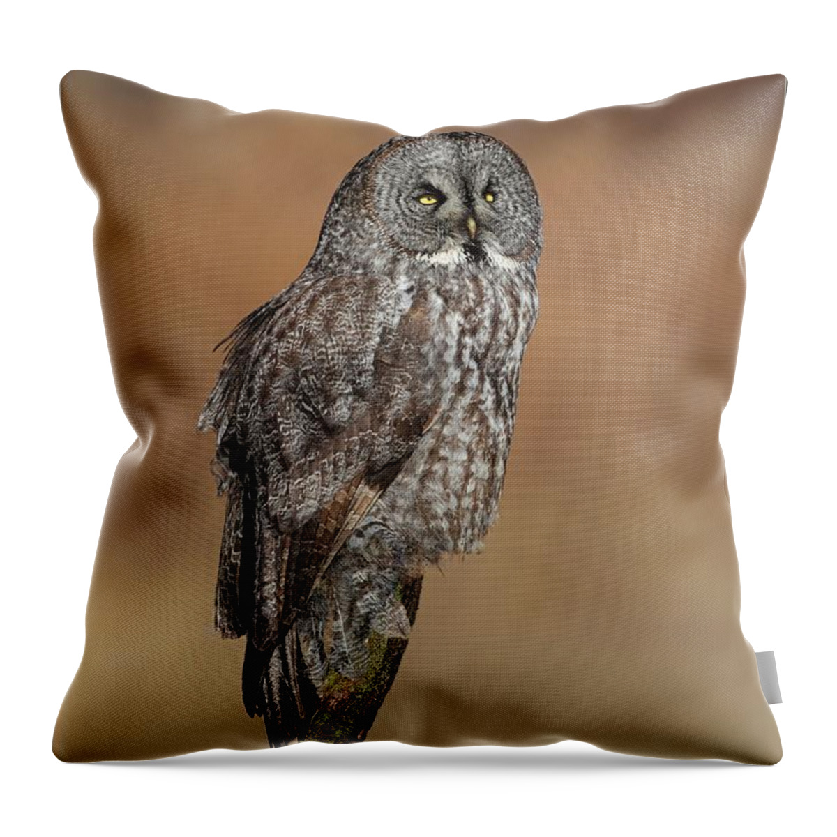 Great Gray Owl Throw Pillow featuring the photograph Great Gray Owl by Daniel Behm