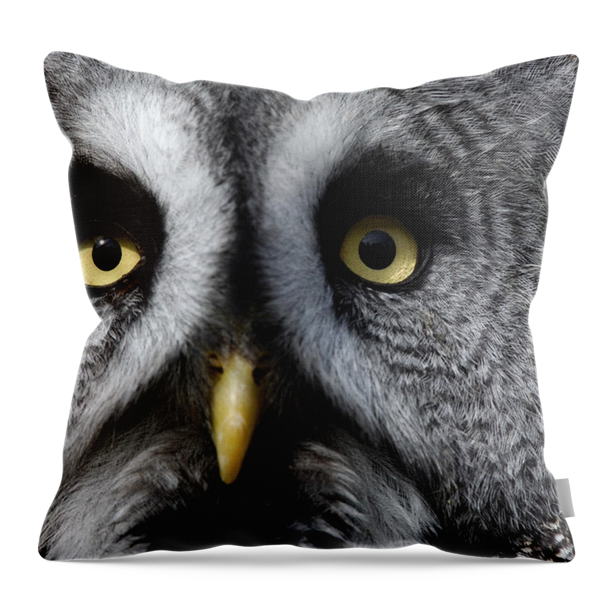 Flpa Throw Pillow featuring the photograph Great Grey Owl Finland by Malcolm Schuyl