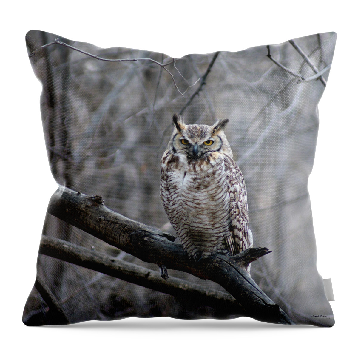 Birds Throw Pillow featuring the digital art Great Horned Owl by Ernest Echols