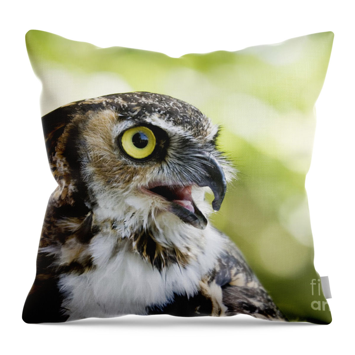 Great Horned Owl Throw Pillow featuring the photograph Great Horned Owl by Patty Colabuono