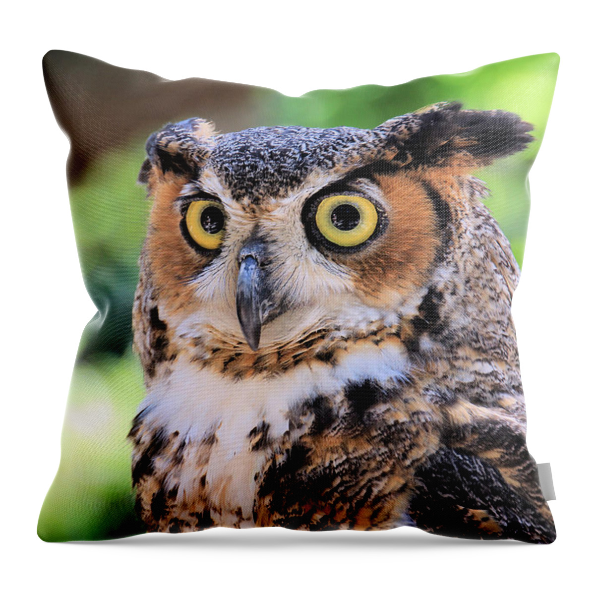 Bird Throw Pillow featuring the photograph Great Horned Owl by Rosalie Scanlon