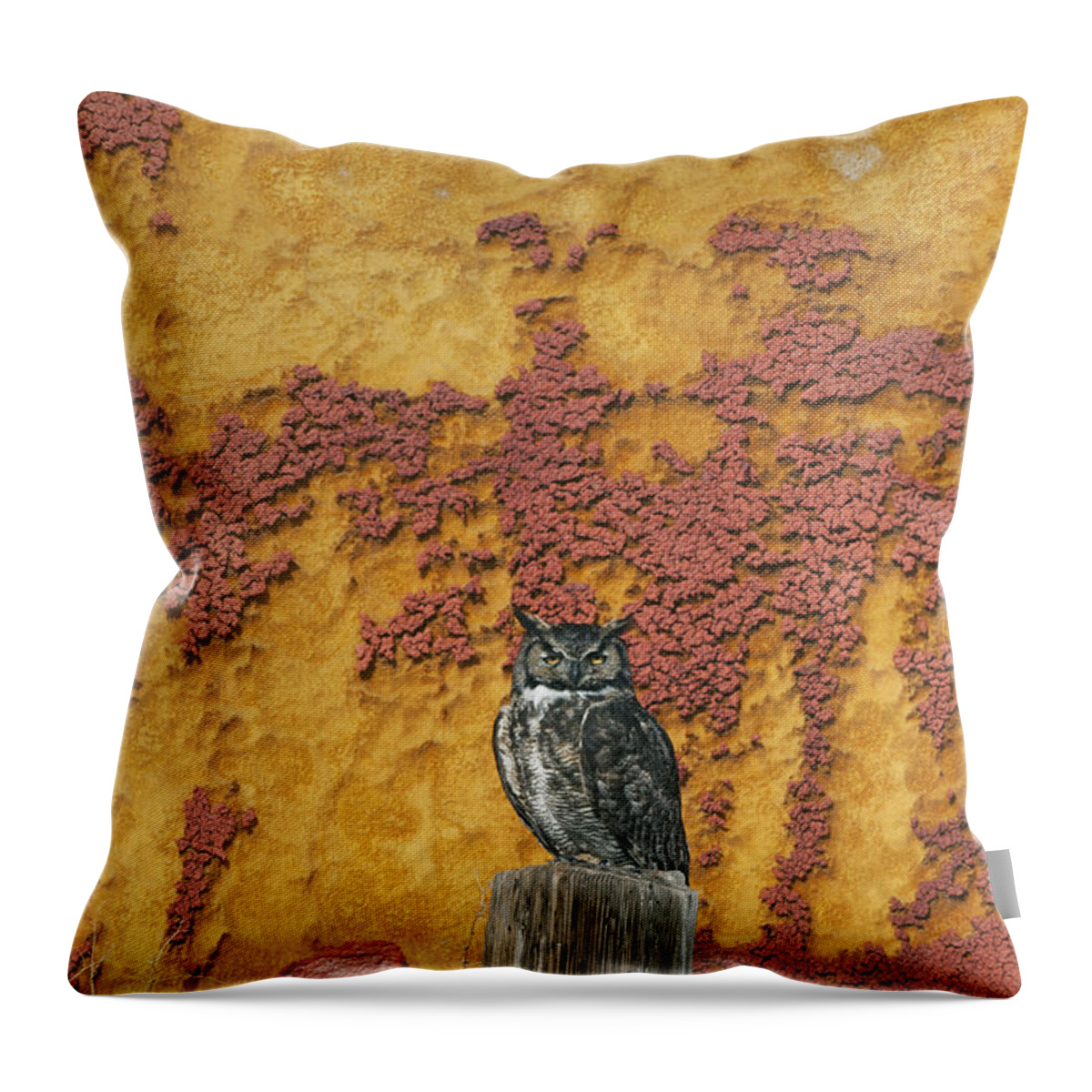 Feb0514 Throw Pillow featuring the photograph Great Horned Owl Tule Lake Nwr by Kevin Schafer