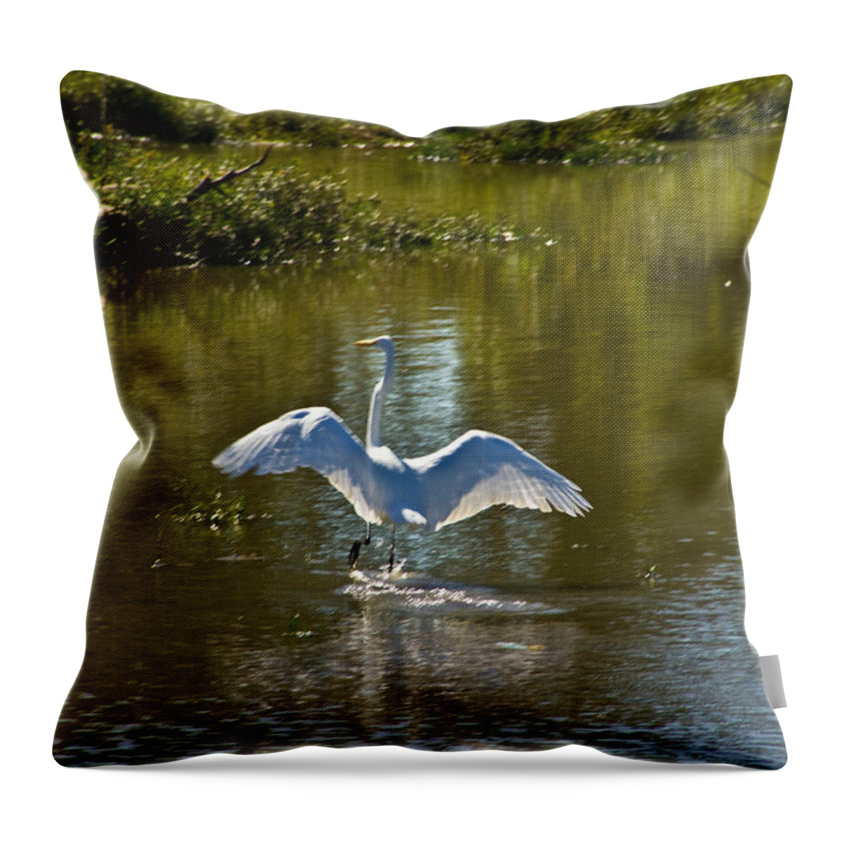 Tulsa Photographs Throw Pillow featuring the photograph Great White Egret In Sunlight by Vernis Maxwell