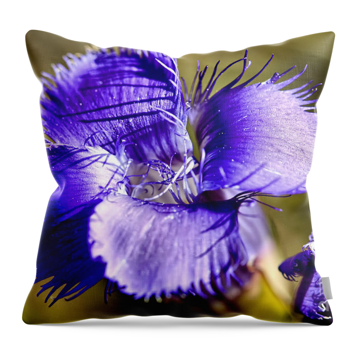Greater Fringed Gentian Throw Pillow featuring the photograph Greater Fringed Gentian by Teresa Zieba