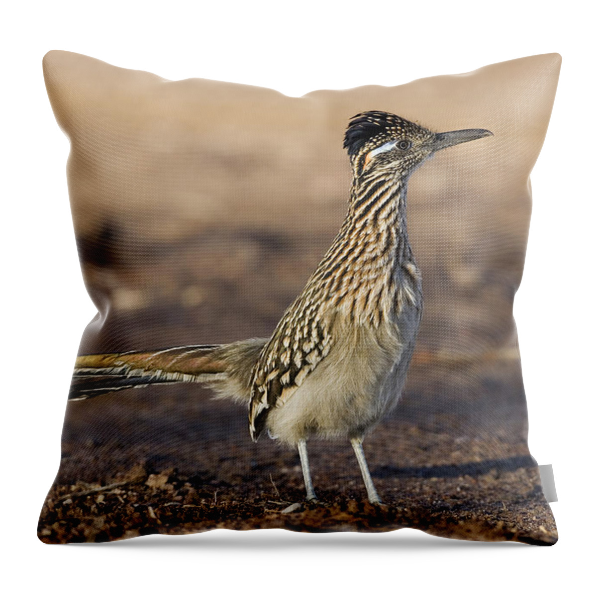 Feb0514 Throw Pillow featuring the photograph Greater Roadrunner New Mexico by Konrad Wothe