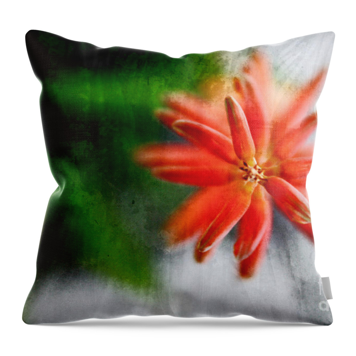 Green Throw Pillow featuring the photograph Green and Orange by Sandy Moulder