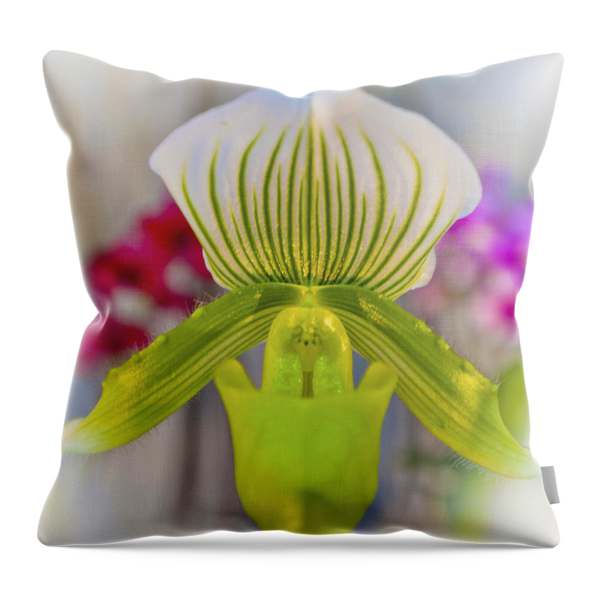 Orchid Throw Pillow featuring the photograph Green and White Orchid by Maj Seda