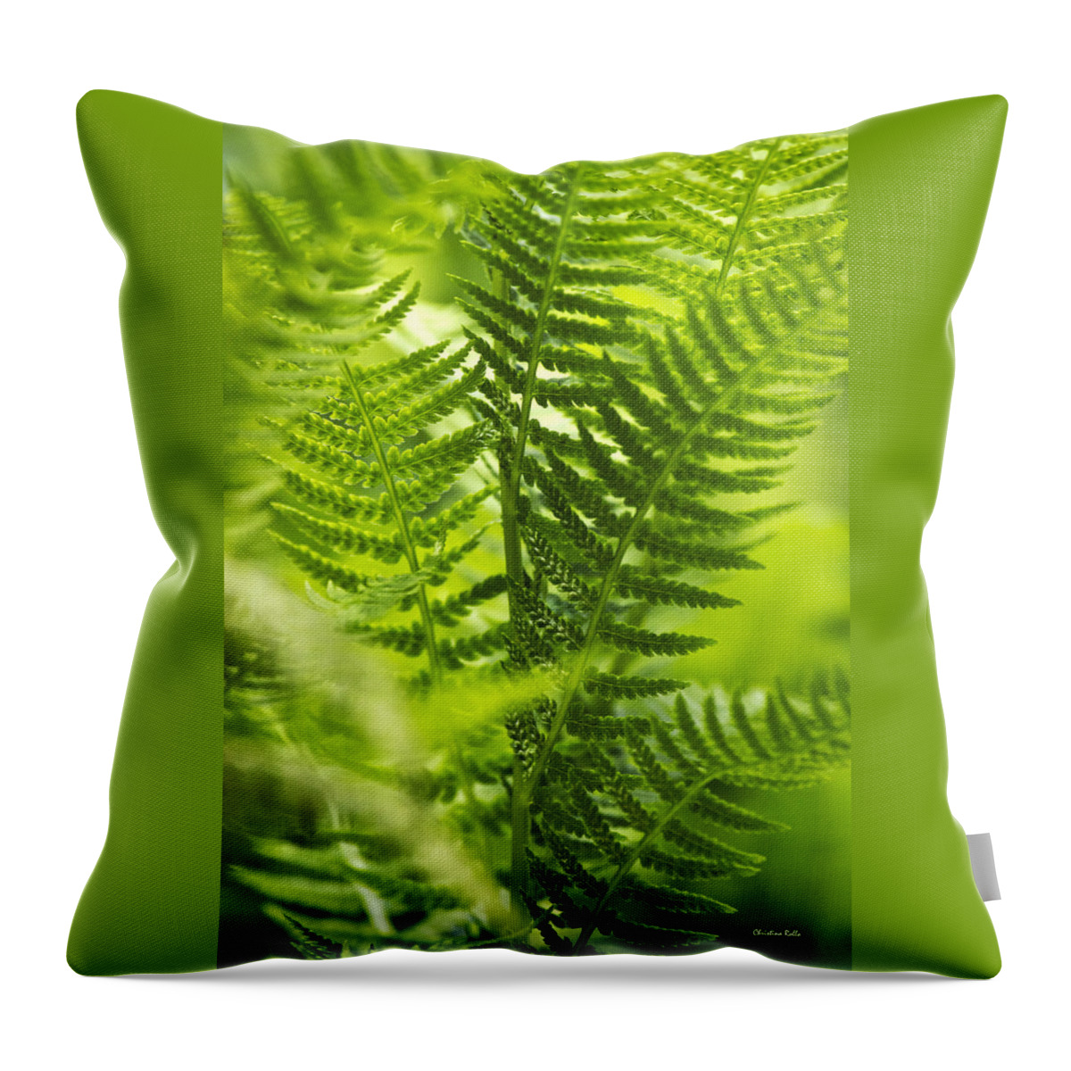 Fern Throw Pillow featuring the photograph Green Fern Art by Christina Rollo