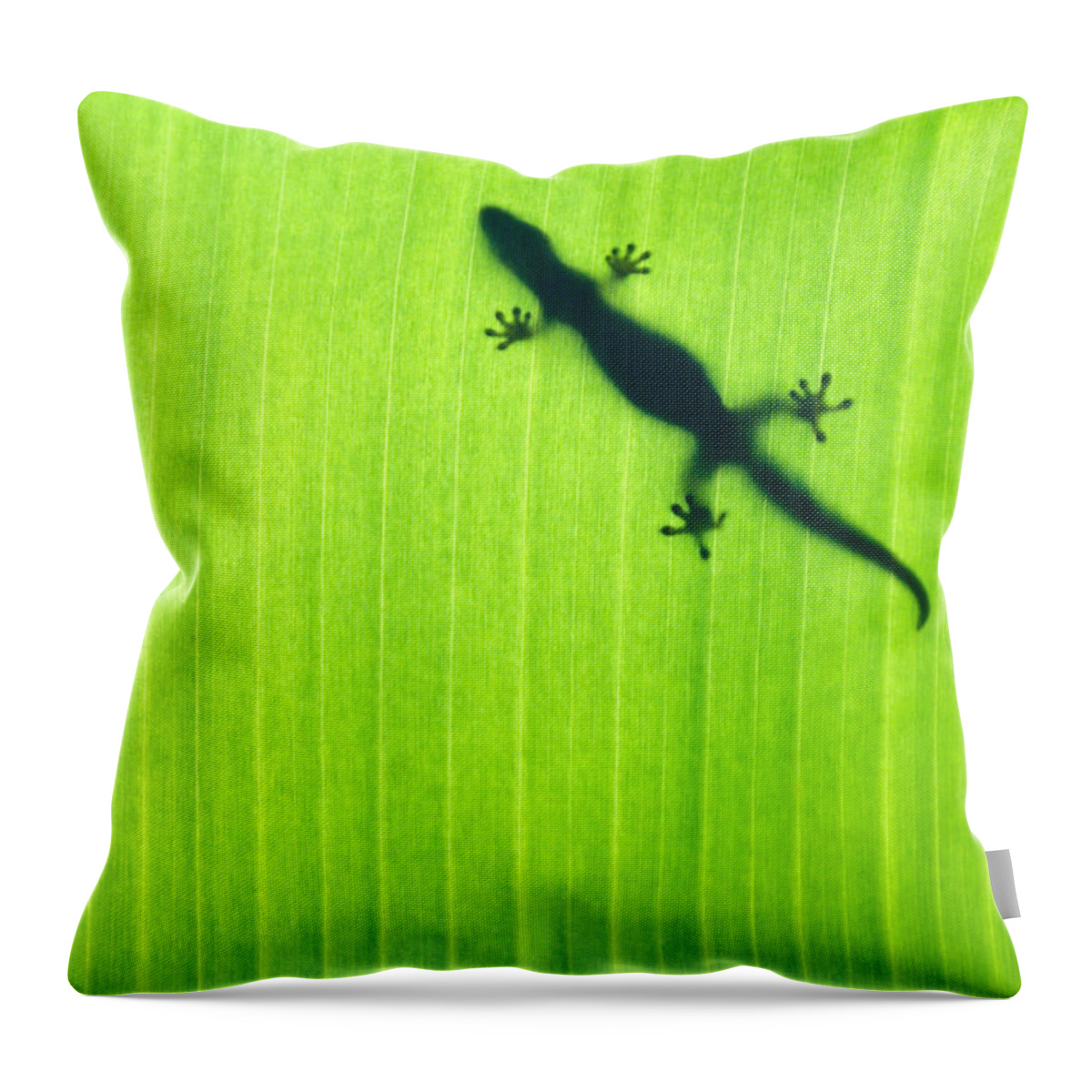 Green Throw Pillow featuring the photograph Banana Leaf Gecko by Sean Davey