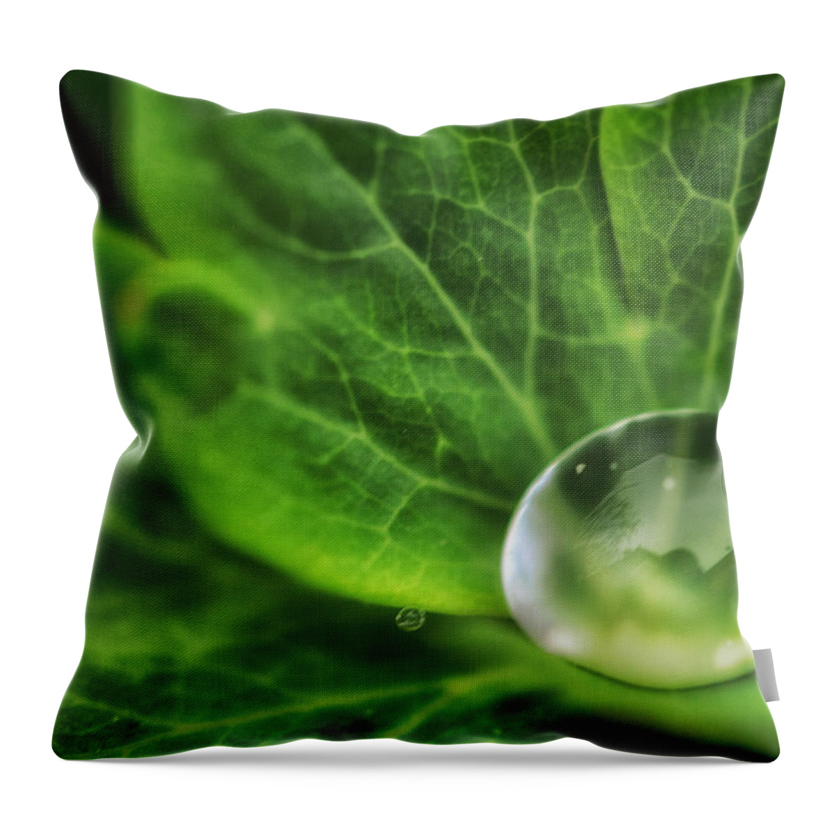 Water Drop Throw Pillow featuring the photograph Green Globe by Sue Capuano
