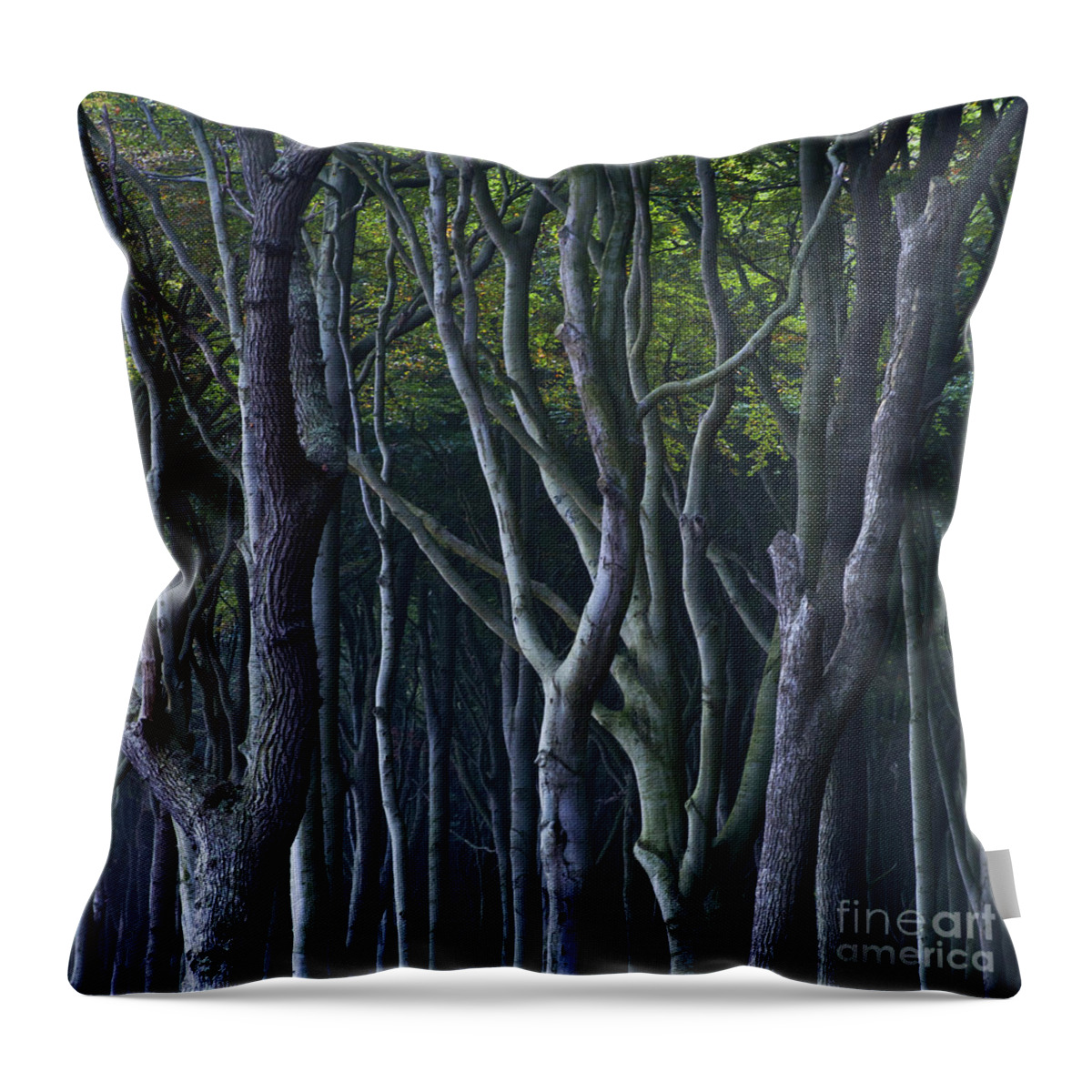 Beech Tree Throw Pillow featuring the photograph Green Glow by Heiko Koehrer-Wagner
