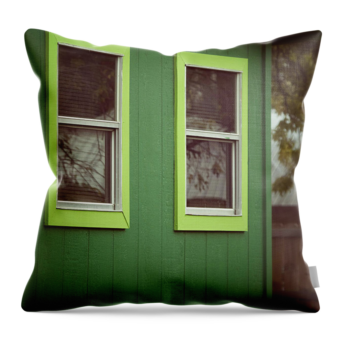  Throw Pillow featuring the photograph Green House by Trish Mistric