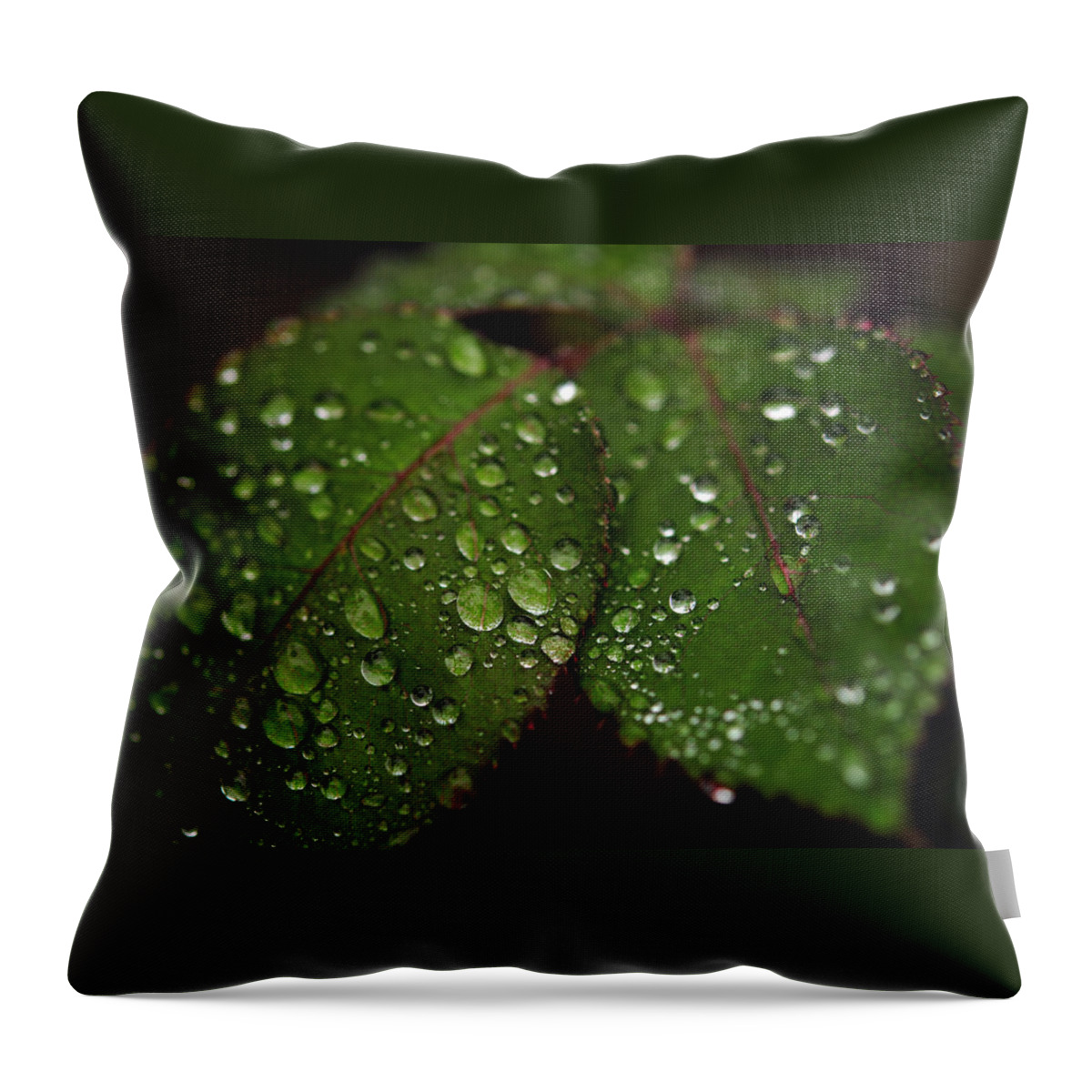  Leaves Throw Pillow featuring the photograph Green Leaves by Dragan Kudjerski