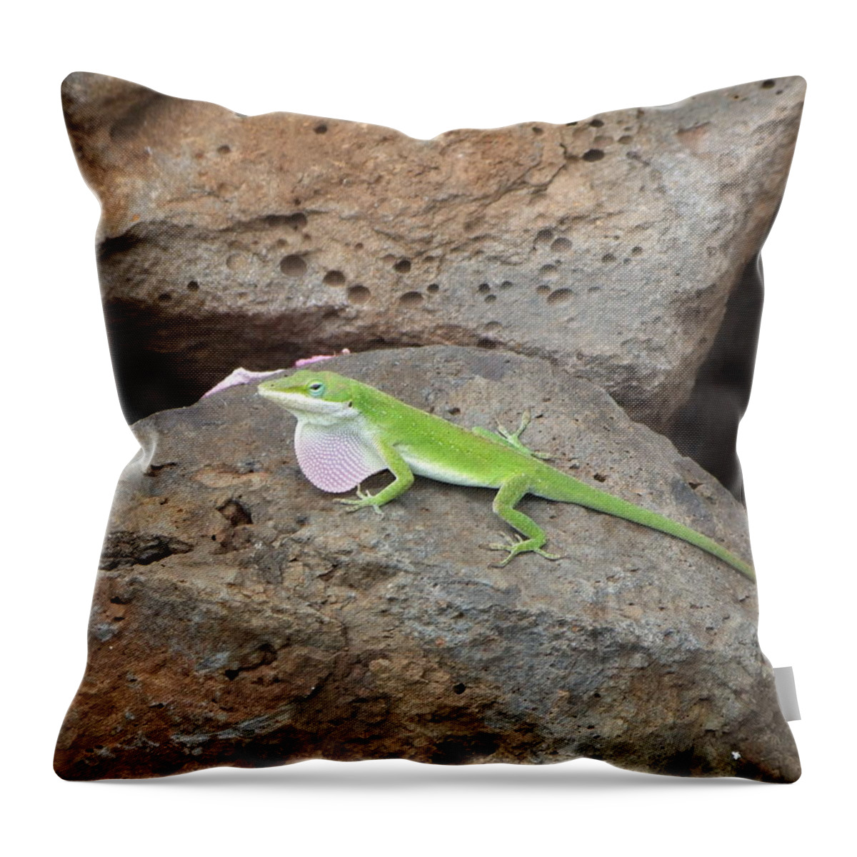 Lizard Throw Pillow featuring the photograph Green Lizard by Richard Reeve
