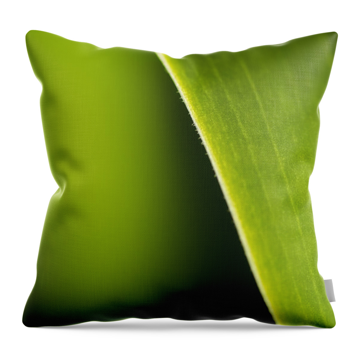Floral Throw Pillow featuring the photograph Green by Sandra Parlow