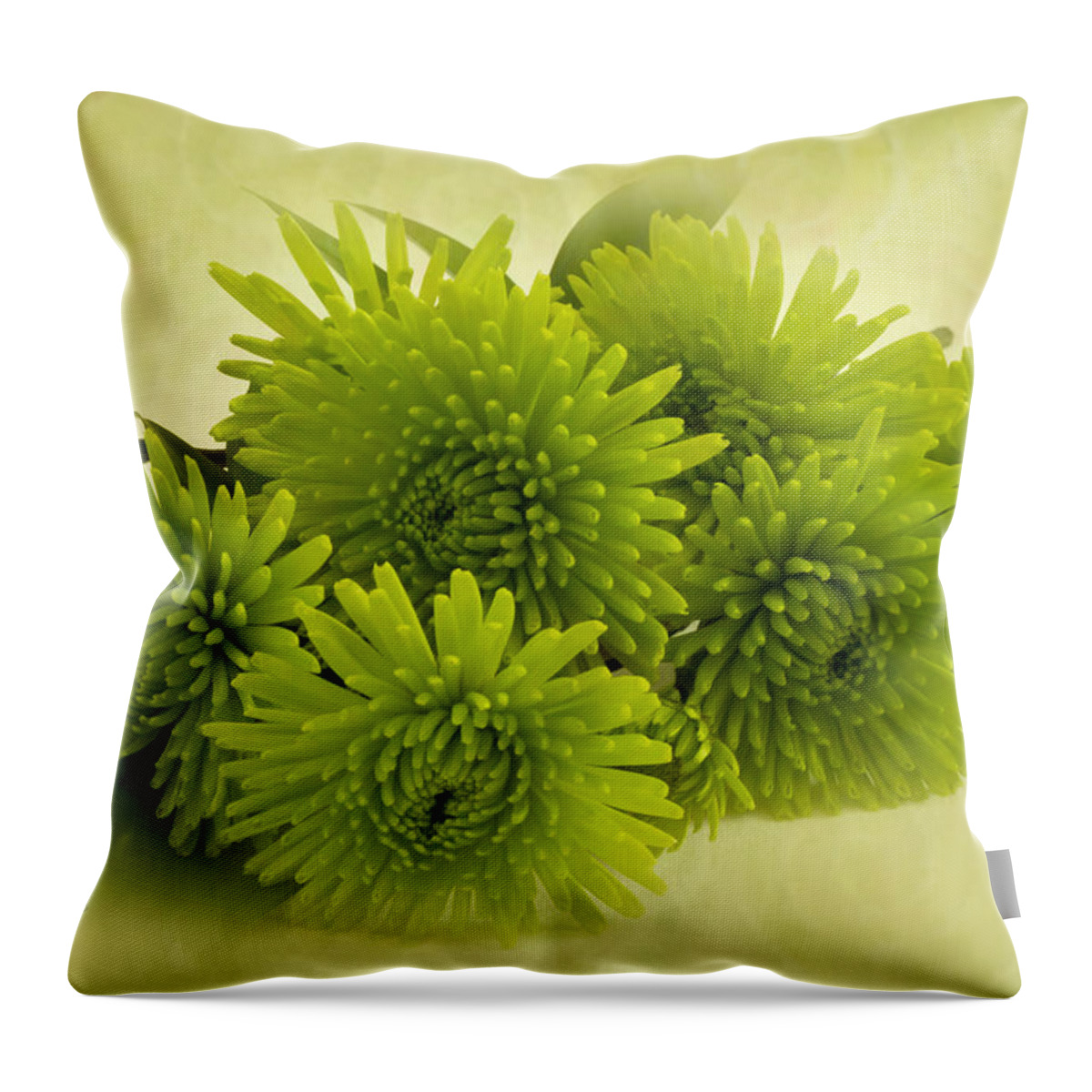 Green Spider Chrysanthemums Throw Pillow featuring the photograph Green Spider Chrysanthemums by Sandra Foster