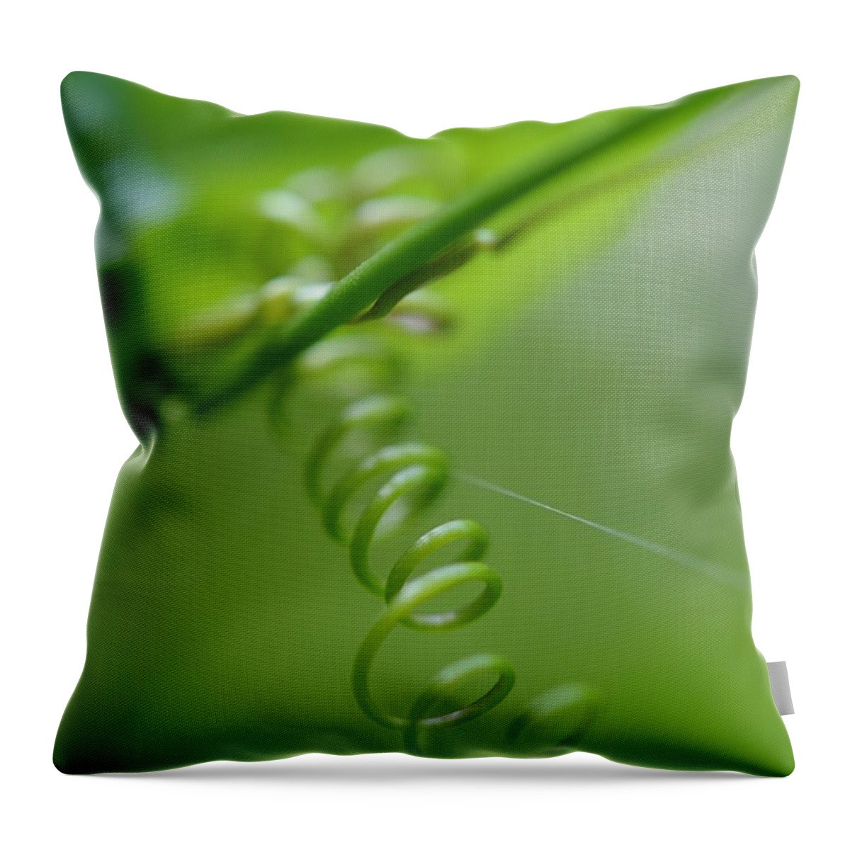 Macro Throw Pillow featuring the photograph Green Spiral by Jenny Rainbow