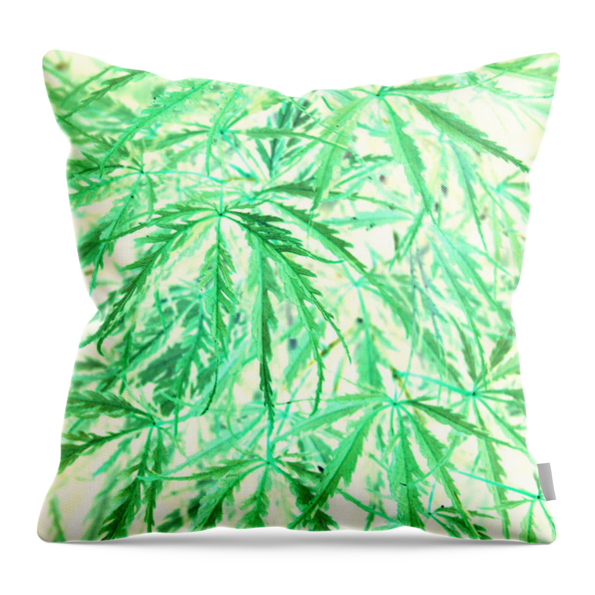 Jamie Lynn Gabrich Throw Pillow featuring the photograph Green Splender by JamieLynn Warber