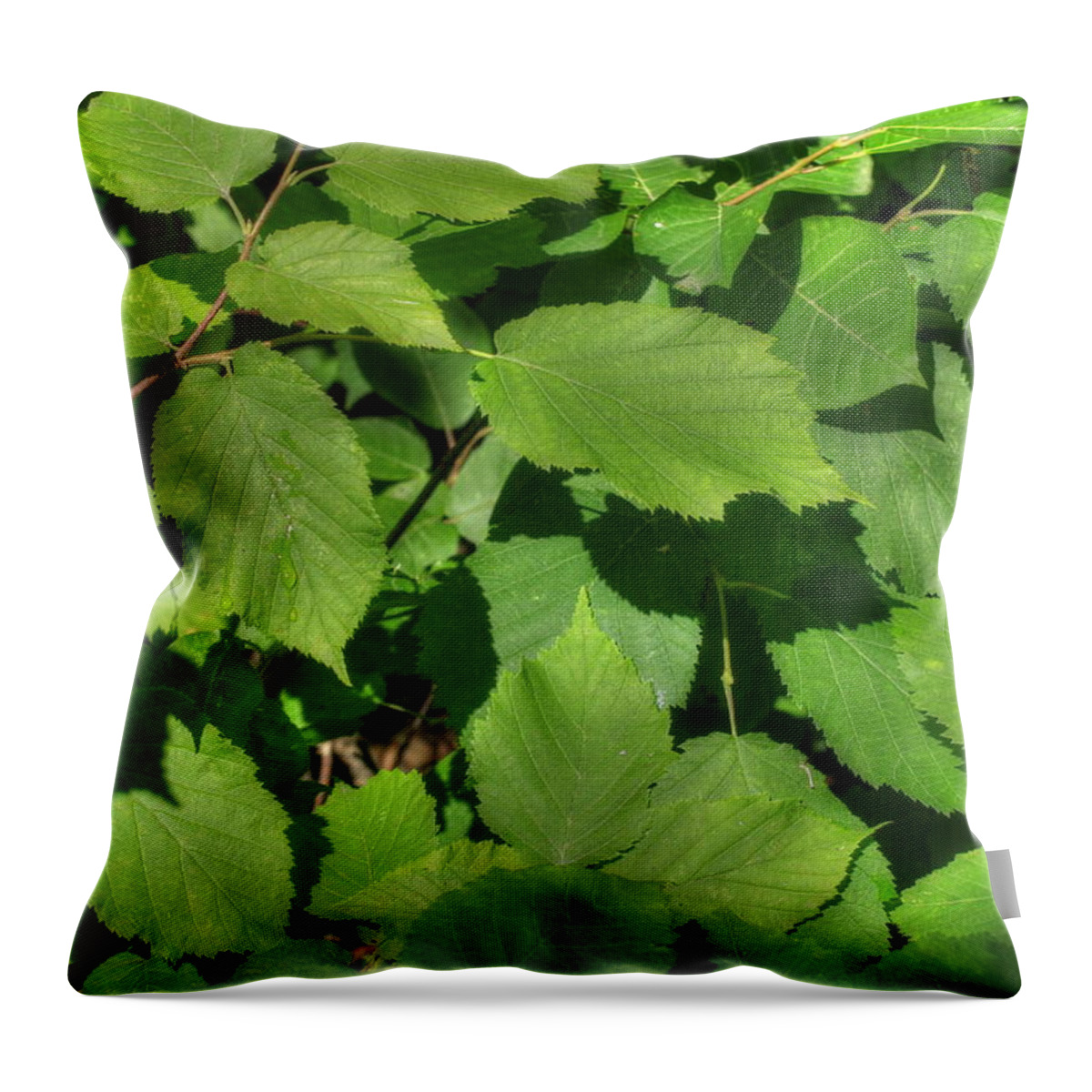 Leaves Throw Pillow featuring the photograph Green Summer Leaves by Jim Sauchyn