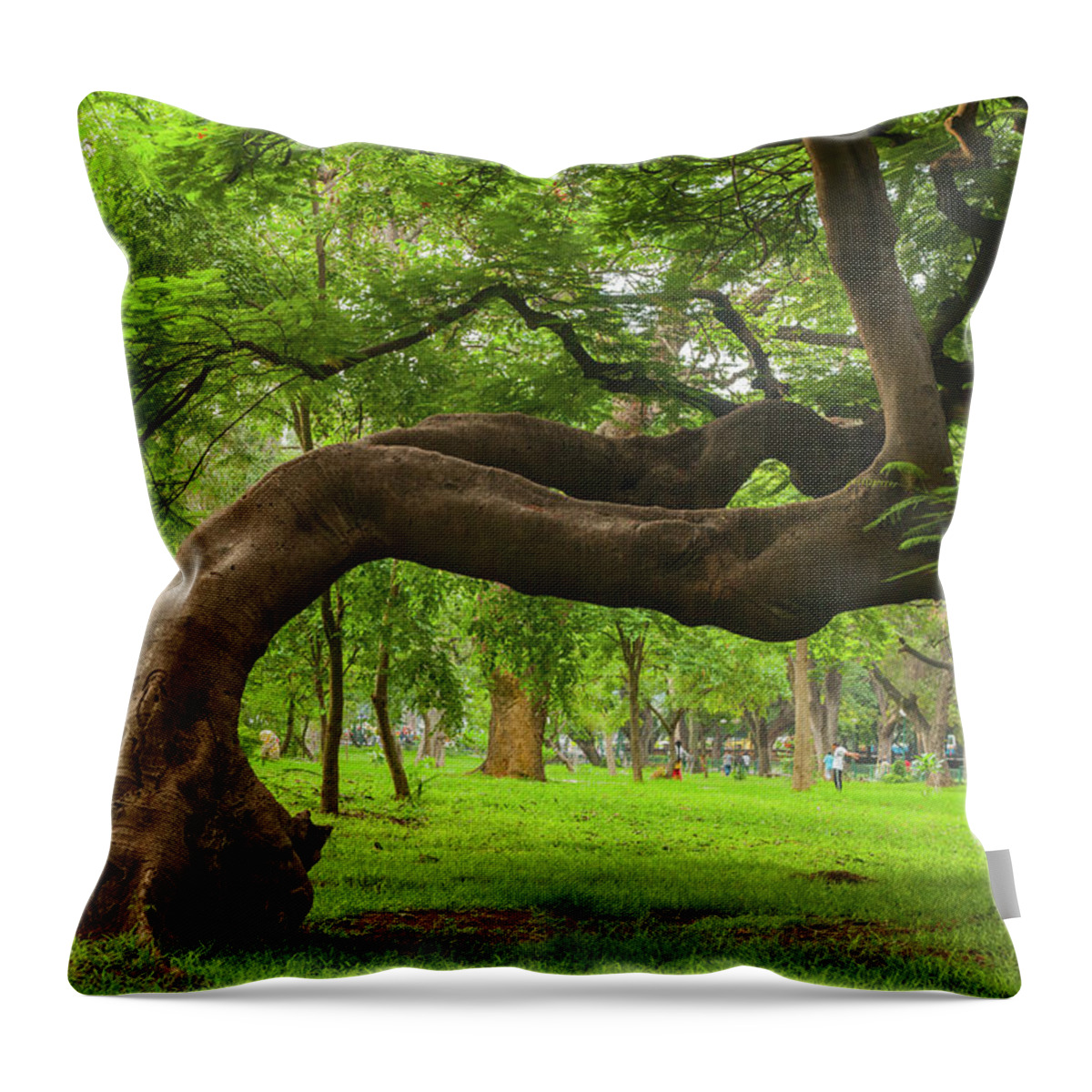 Tranquility Throw Pillow featuring the photograph Green by This Is Captured By Sandeep Skphotographys@gmail.com