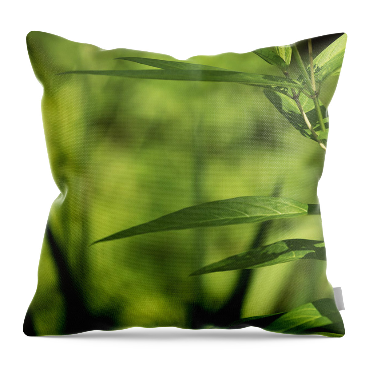 Green Throw Pillow featuring the photograph Green by Tracy Winter