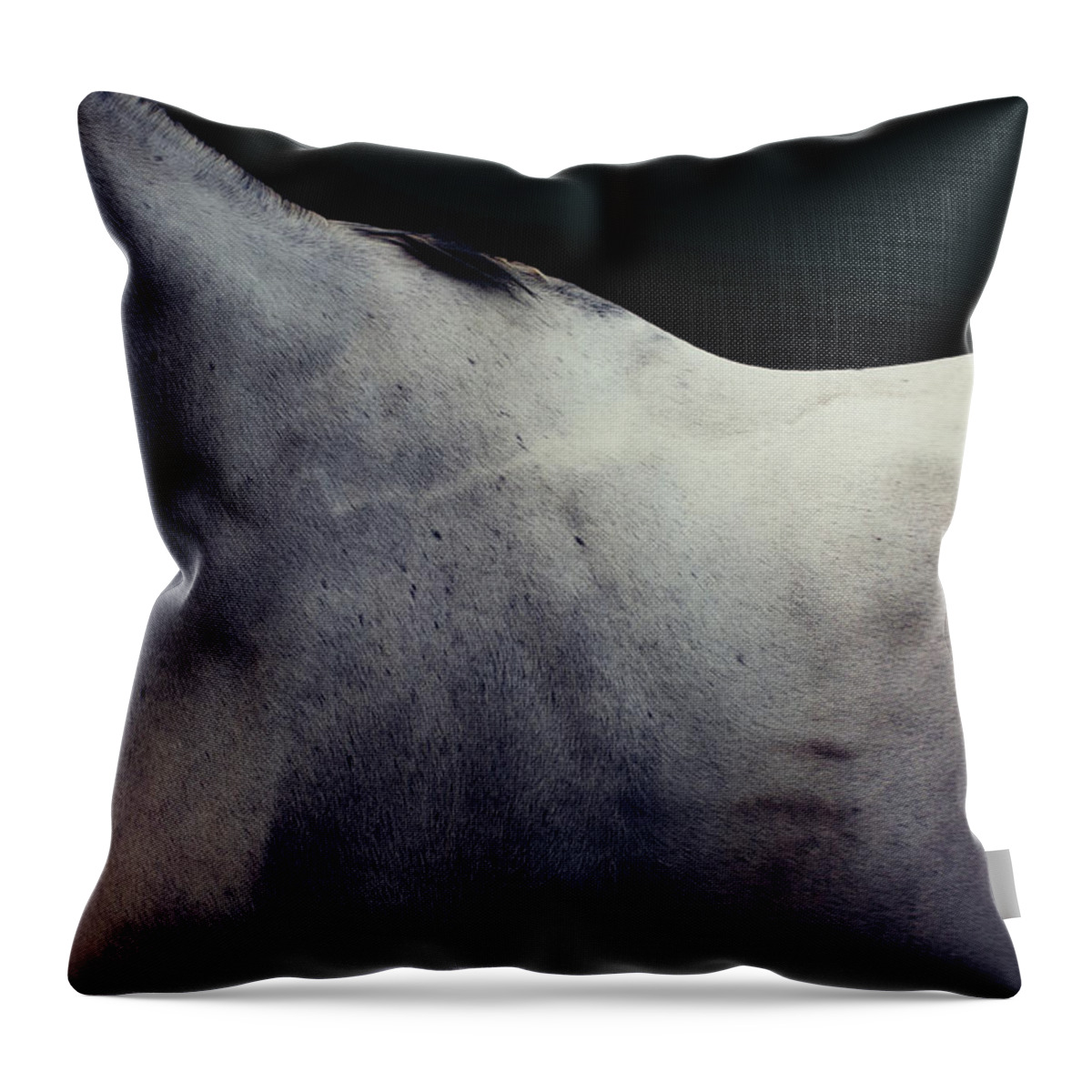 Animal Skin Throw Pillow featuring the photograph Grey Horse Fine Art by Luca Sage