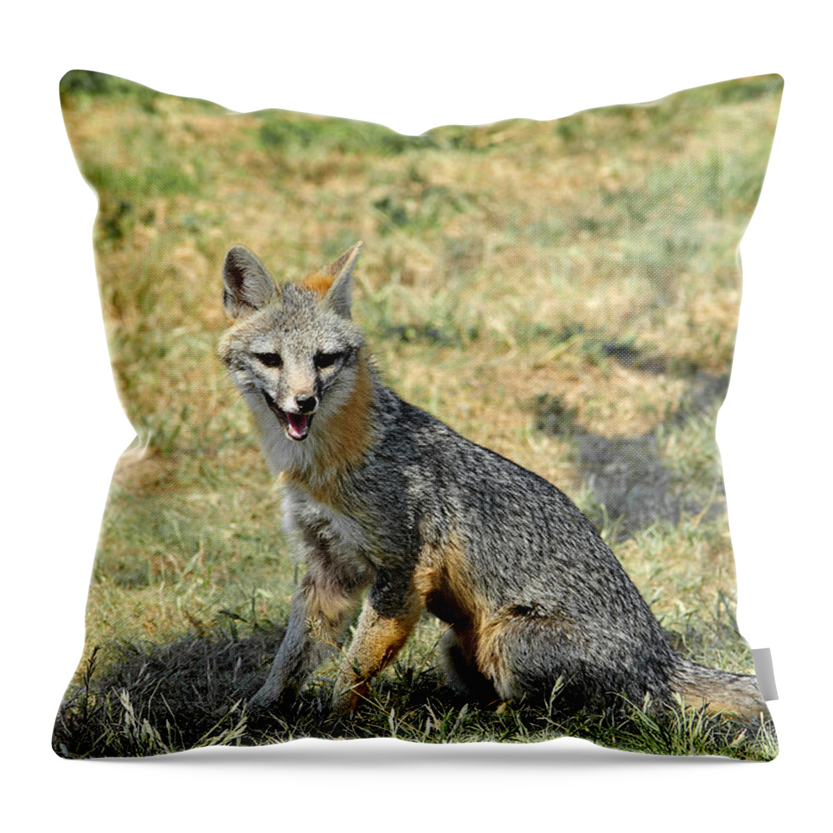 Fox Throw Pillow featuring the photograph Grinning Fox by Karen Slagle