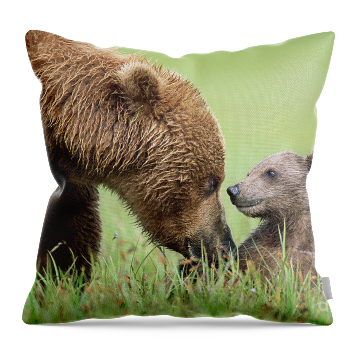 00345260 Throw Pillow featuring the photograph Grizzly Bear And Cub in Katmai by Yva Momatiuk John Eastcott