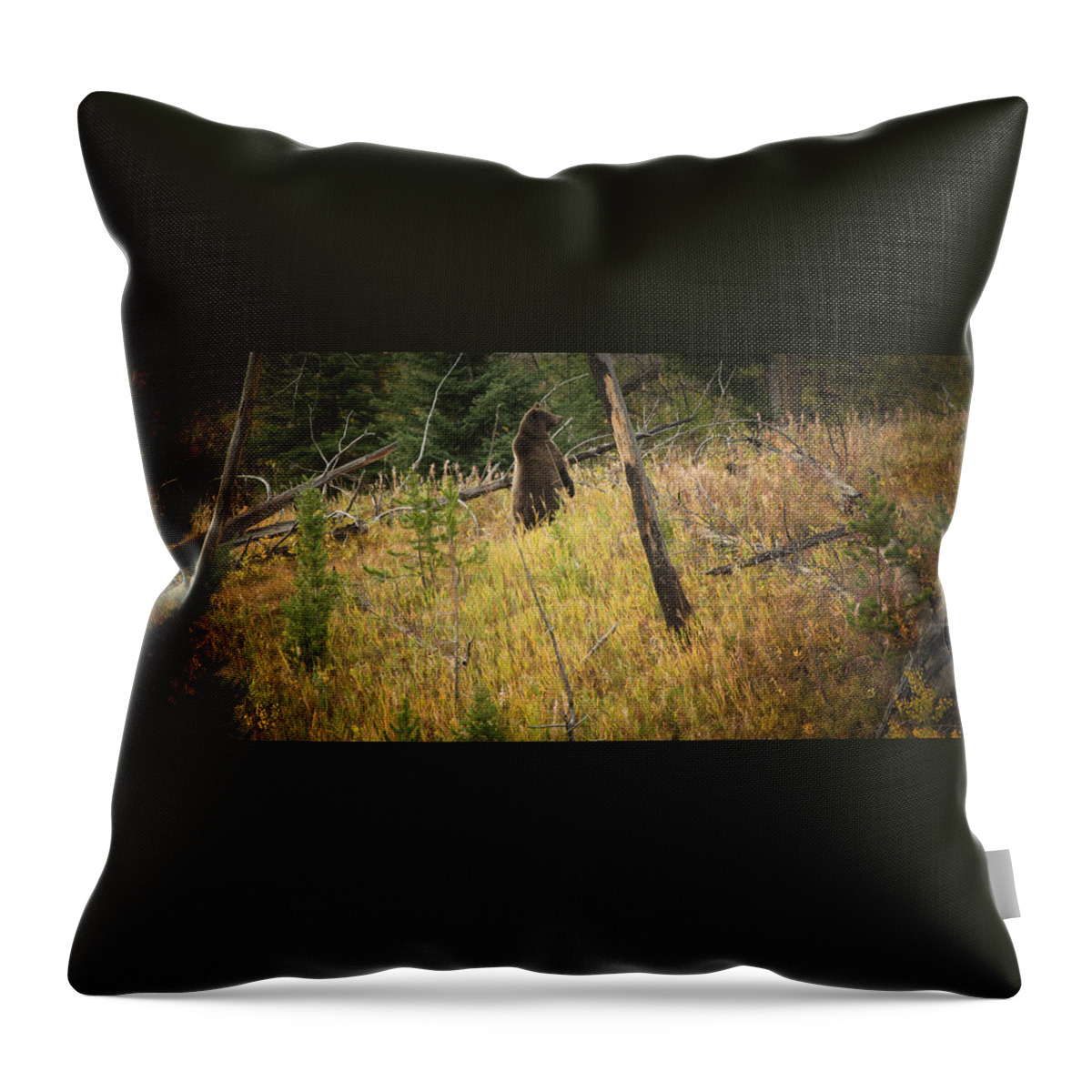 Bears Throw Pillow featuring the photograph Grizzly Bear by Roger Mullenhour