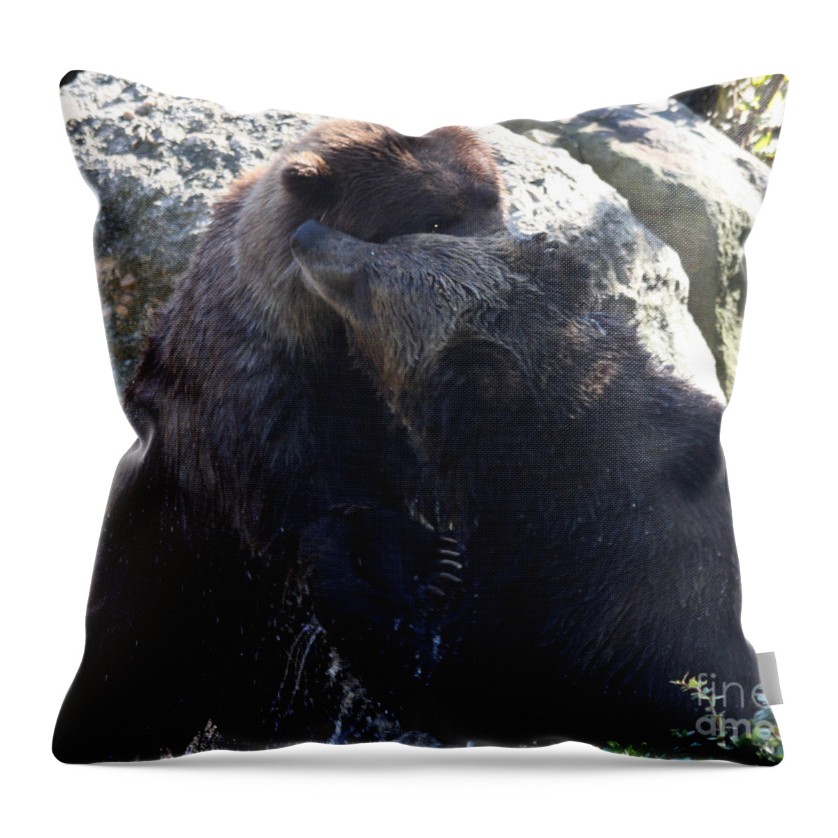 Grizzly Bears Fighting Throw Pillow featuring the photograph Grizzly Bears Fighting by John Telfer