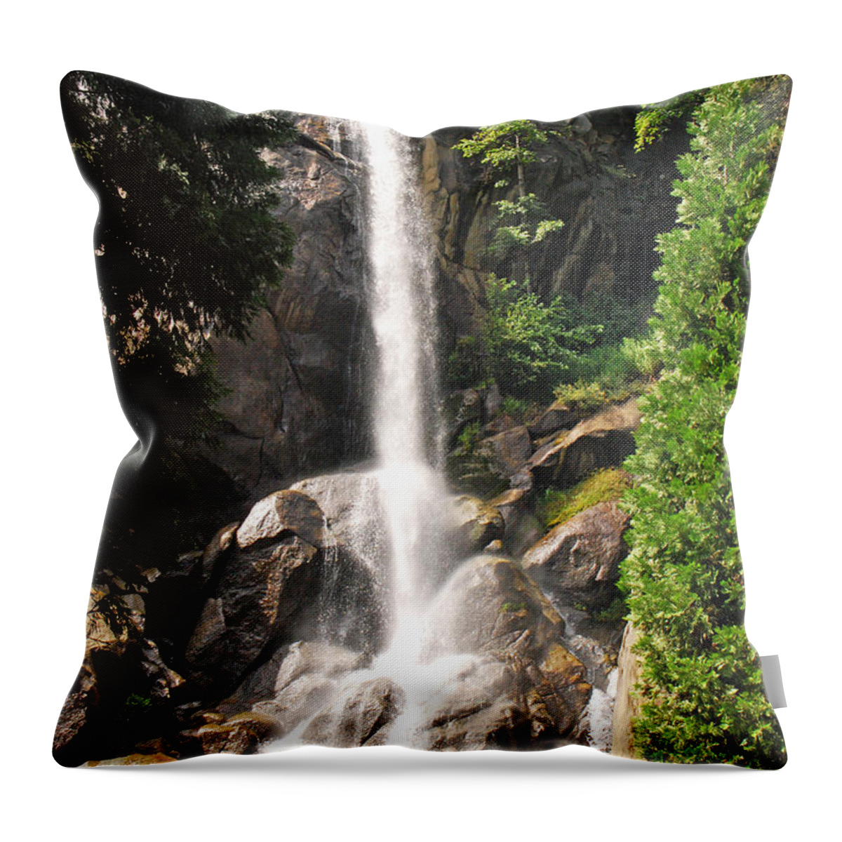 Landscape Throw Pillow featuring the photograph Grizzly Falls by Mary Carol Story
